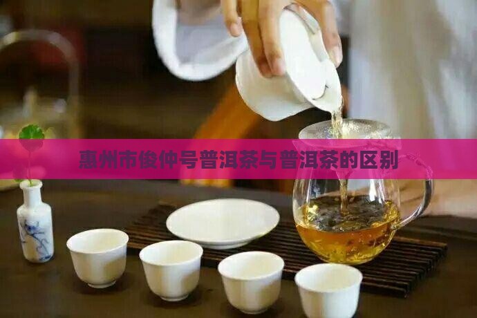 惠州市俊仲号普洱茶