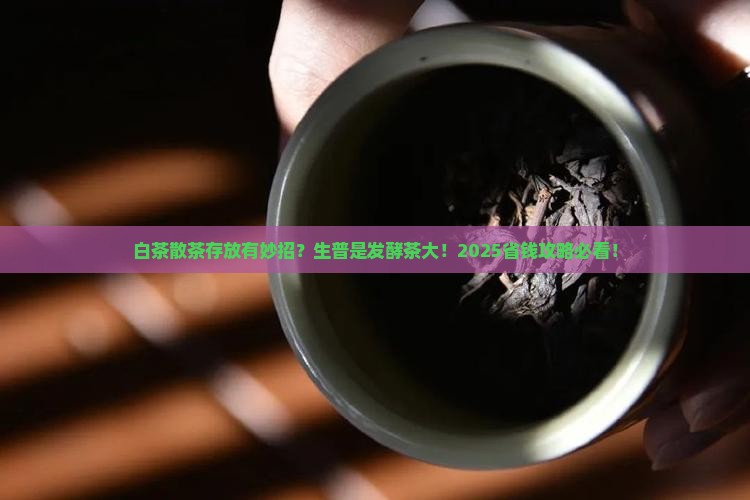 白茶散茶怎么存放生普是发酵茶吗