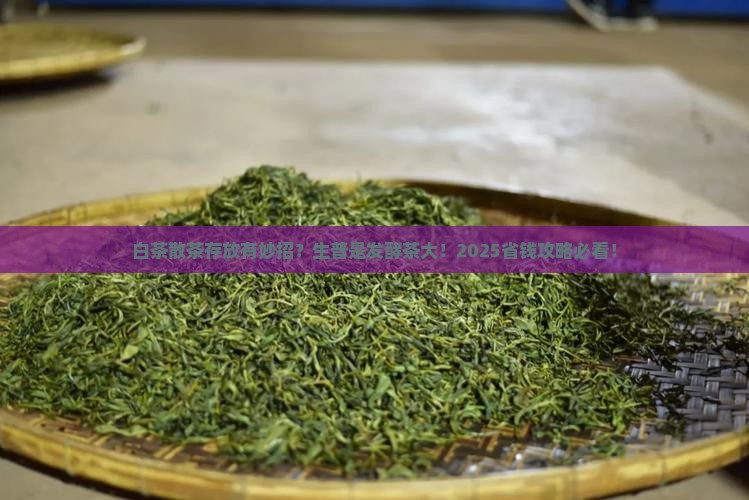 白茶散茶怎么存放生普是发酵茶吗