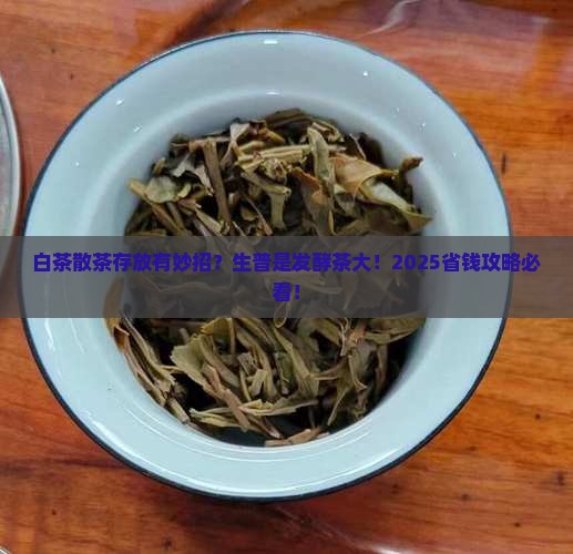 白茶散茶怎么存放生普是发酵茶吗