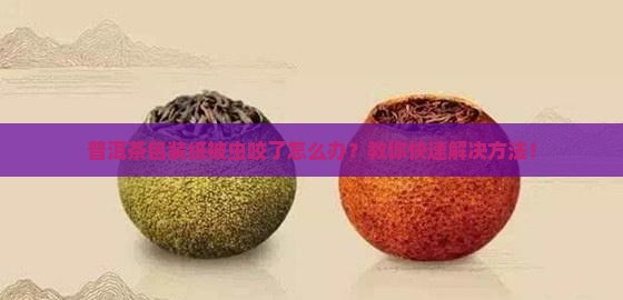 普洱茶包装纸被虫咬了