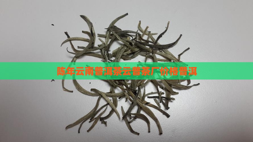 云普陈年老树普洱茶 云普陈年老树普洱茶