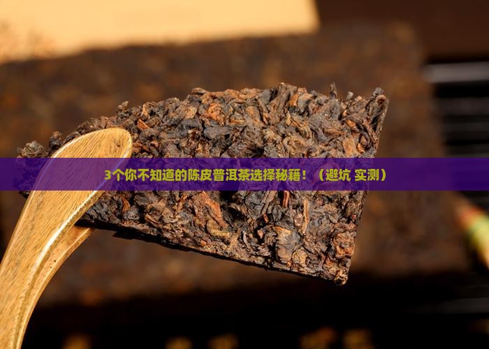 陈皮普洱茶的种类