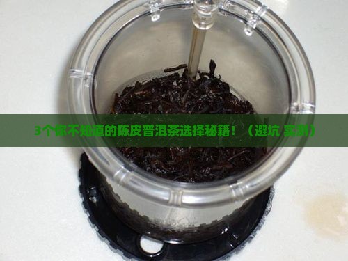 陈皮普洱茶的种类