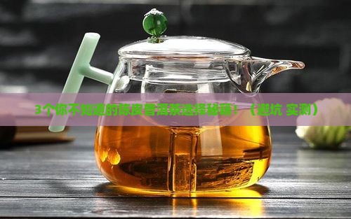 陈皮普洱茶的种类