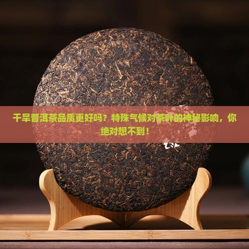 干旱普洱茶品质更好吗
