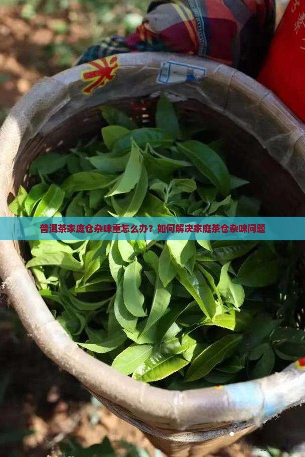 普洱茶家庭仓杂味重怎么办