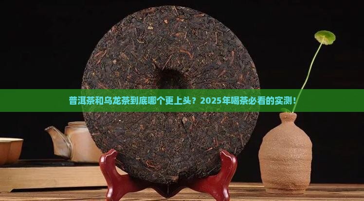 普洱茶和乌龙茶哪个更好喝
