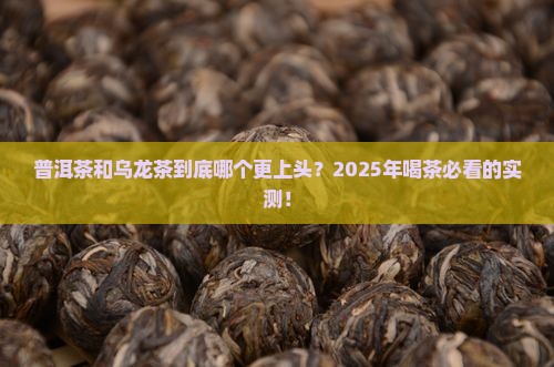 普洱茶和乌龙茶哪个更好喝