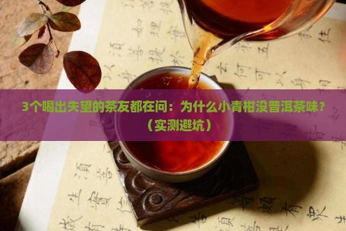 没有普洱茶味的小青柑