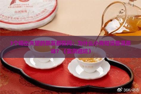 没有普洱茶味的小青柑