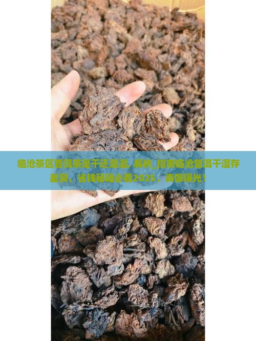 临沧茶区普洱茶是干还是湿