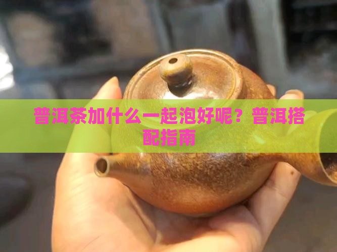 普洱茶加什么一起泡好呢