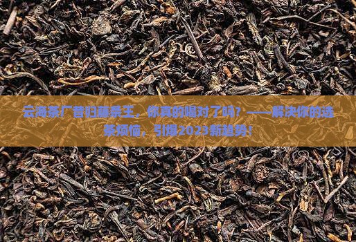 云海茶厂昔归藤条王