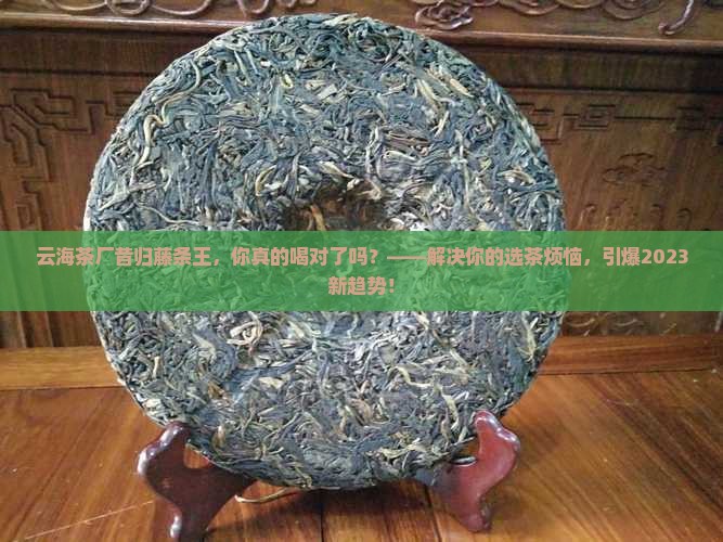 云海茶厂昔归藤条王