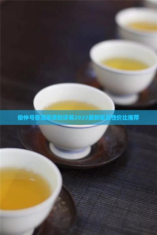 俊仲号普洱茶级别