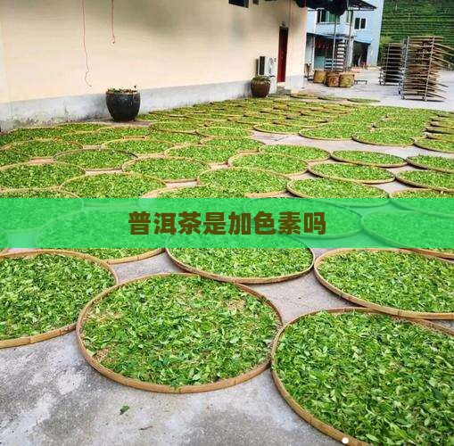 普洱茶是加色素吗