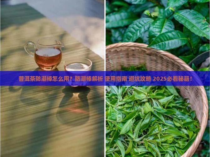 普洱茶防潮棒怎么用