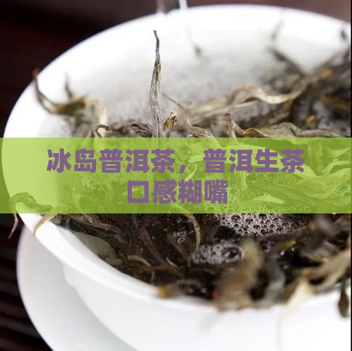 冰岛普洱生茶糊嘴