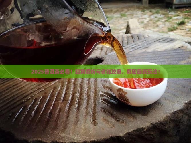 当前普洱茶的发展趋势