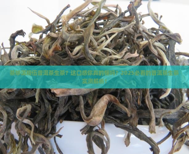 茶哆洱糯伍普洱茶生茶