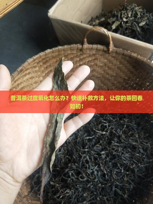 普洱茶过度氧化怎么办