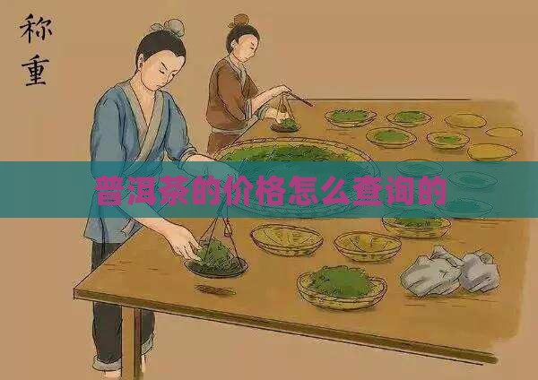 普洱茶的价格怎么查询的