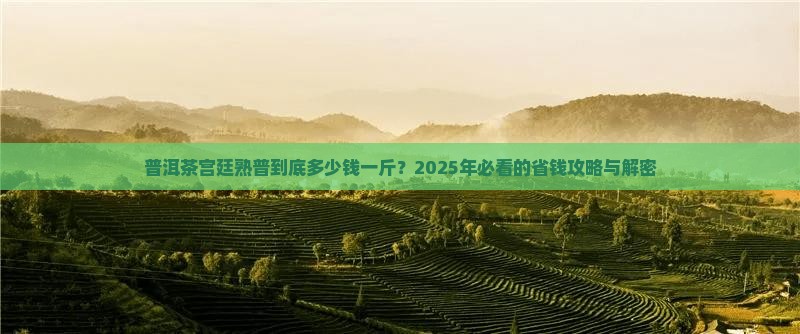 普洱茶宫廷熟普多少钱一斤