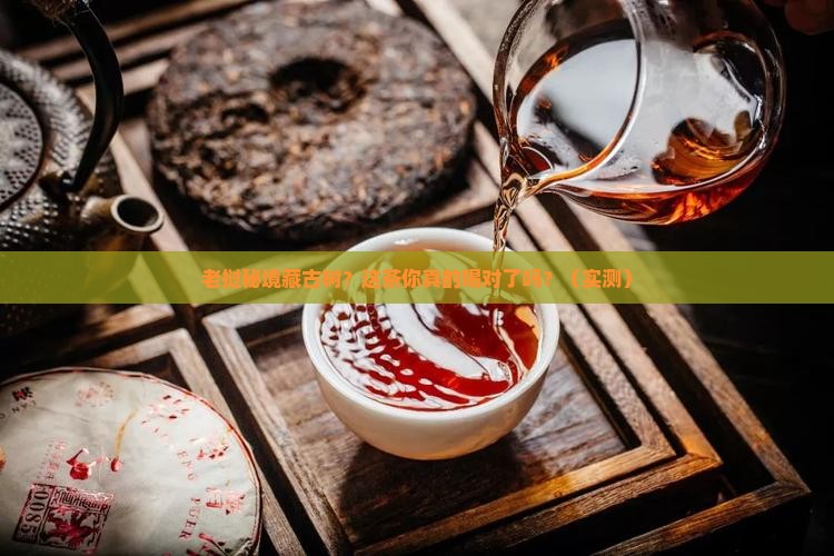 老挝秘境古树普洱茶