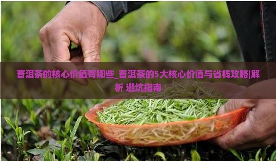普洱茶的核心价值有哪些