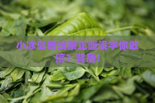 小冰岛普洱茶正面没字
