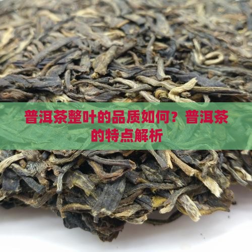 普洱茶整叶的好吗