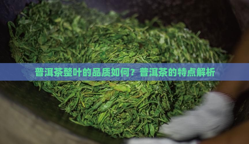 普洱茶整叶的好吗