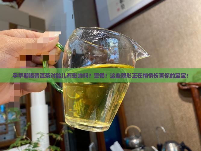 孕早期喝普洱茶对胎儿有影响吗