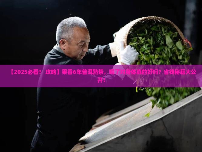 果香6年普洱茶熟茶