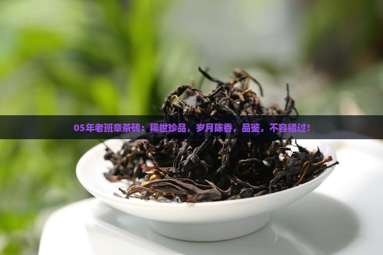 05年老班章茶砖
