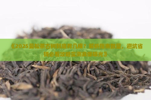 曼松茶古树有几棵