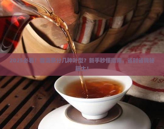 普洱茶分为什么叶型种类