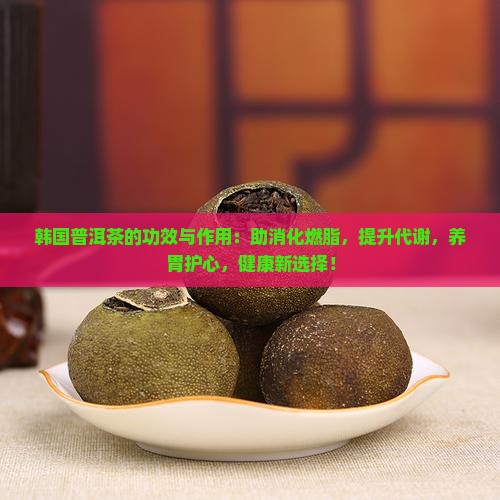韩国普洱茶的功效与作用
