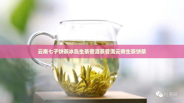 云南七子茶饼冰岛生茶