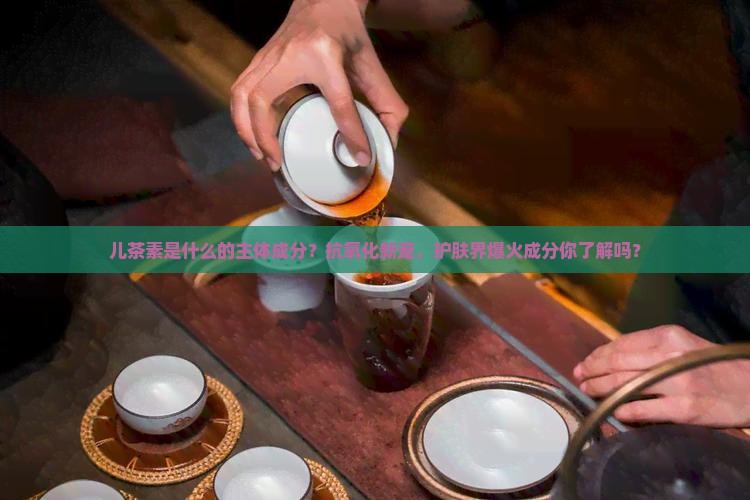 儿茶素是什么的主体成分