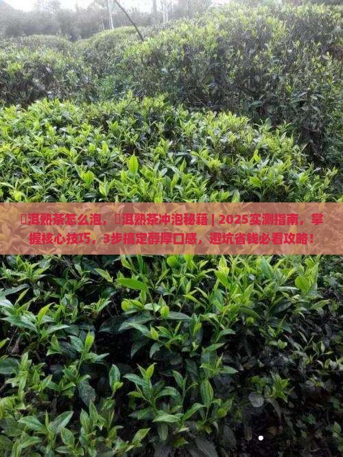 潽洱熟茶怎么泡