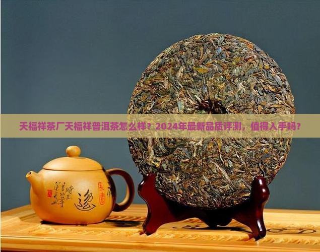 天福祥茶厂天福祥普洱茶怎么样