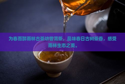 为春而醉雨林古茶坊普洱茶