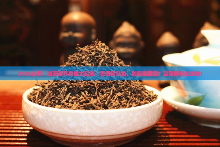 减肥是喝普洱茶还是乌龙茶
