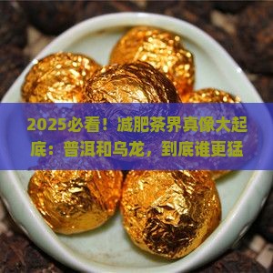 减肥是喝普洱茶还是乌龙茶