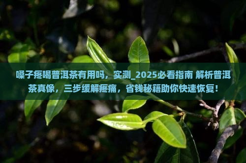 嗓子疼喝普洱茶有用吗