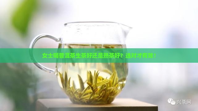 女士喝普洱茶生茶好还是熟茶好