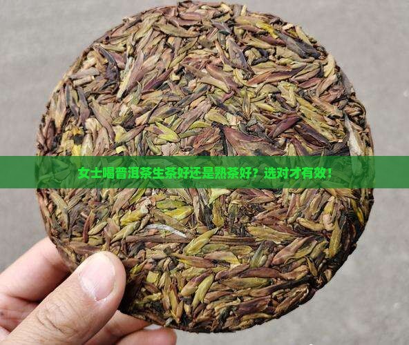 女士喝普洱茶生茶好还是熟茶好