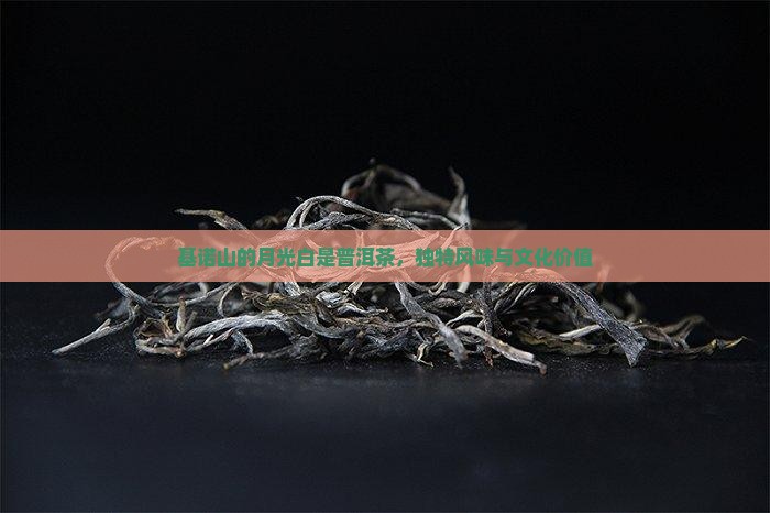 基诺山的月光白是普洱茶